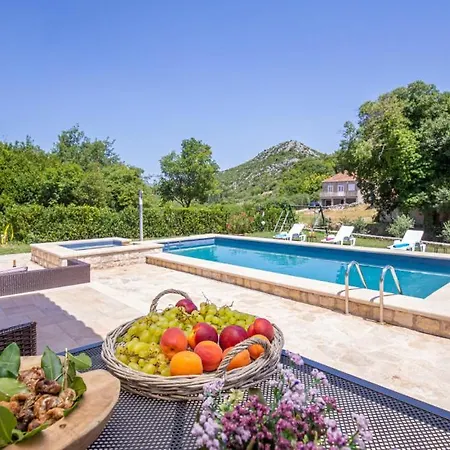 Olive By Guide * Imotica