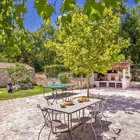Olive By Guide Vila